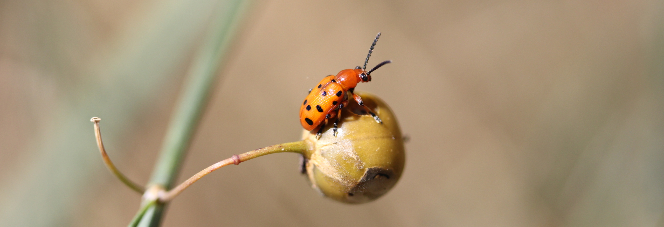 Lancement du concours photo 2025 !
