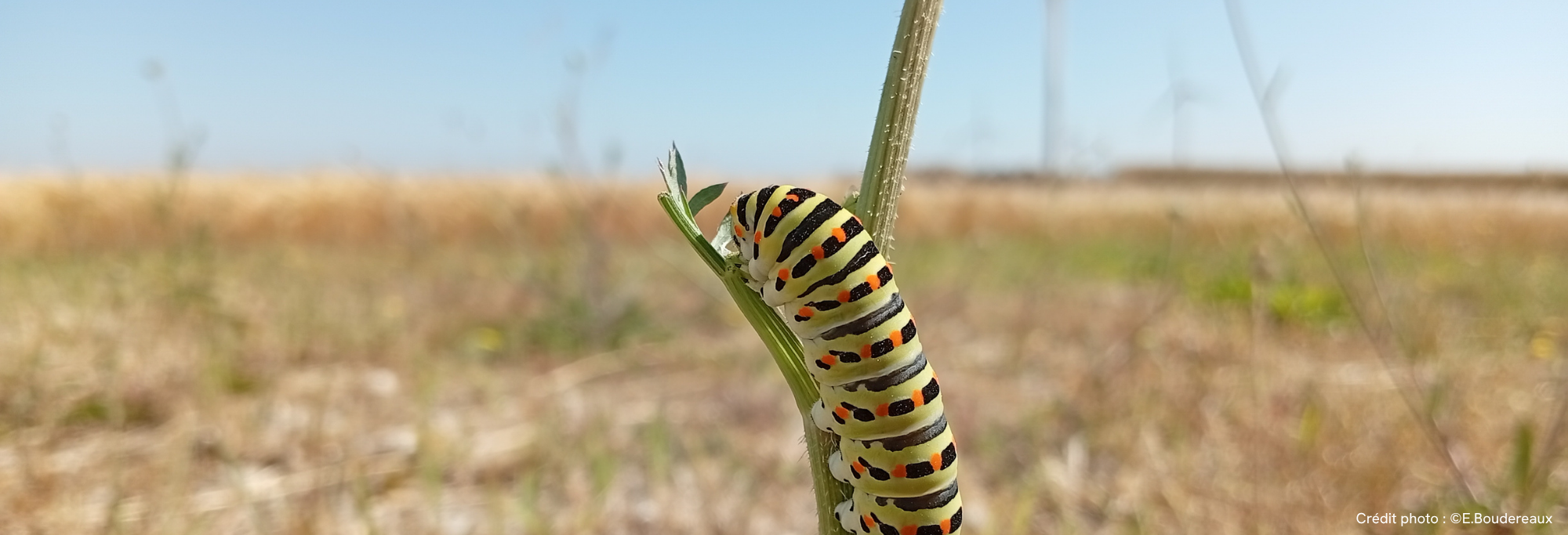 L’ATE de Crégy-lès-Meaux récompensée !