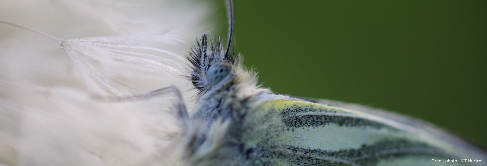 Trilport et Villenoy : deux ans d’ABC s’achèvent