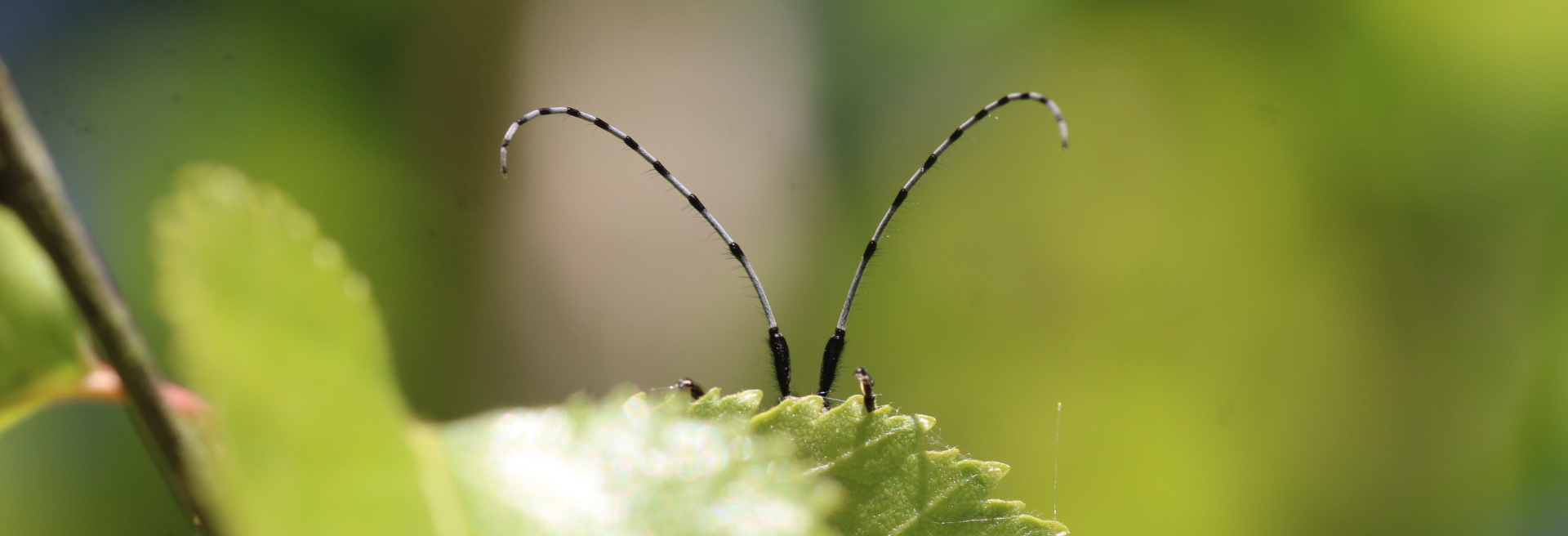 Résultats du concours photos 2025