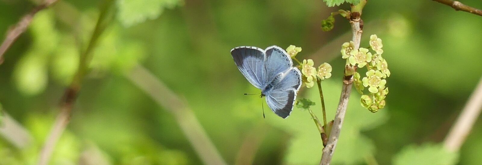 Retour en images sur l&rsquo;Assemblée générale 2025