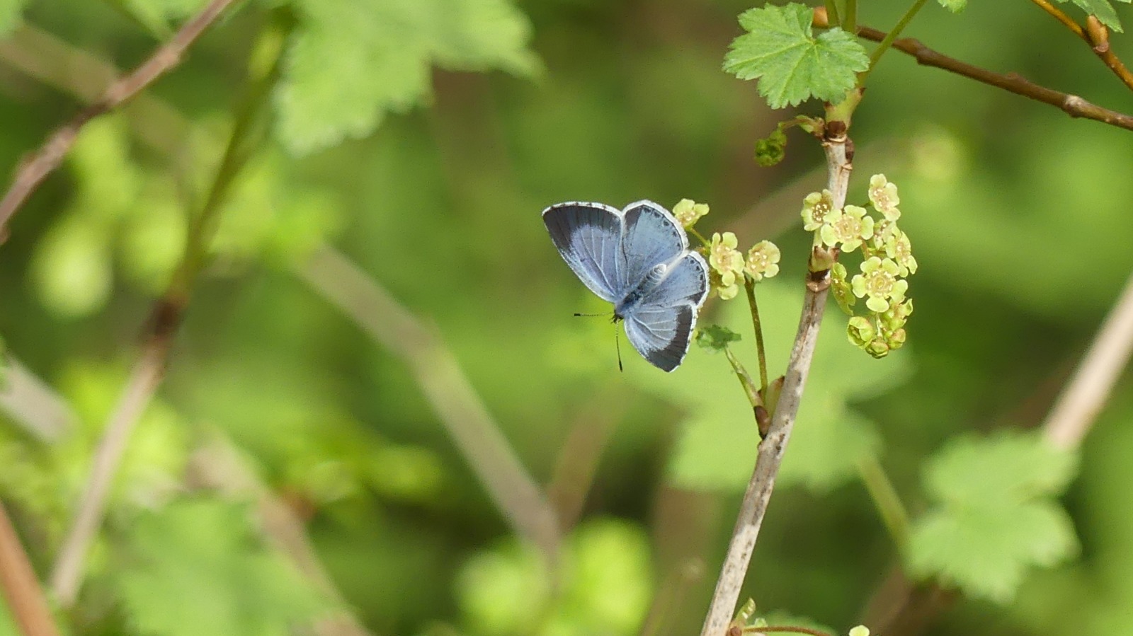 Retour en images sur l&rsquo;Assemblée générale 2025