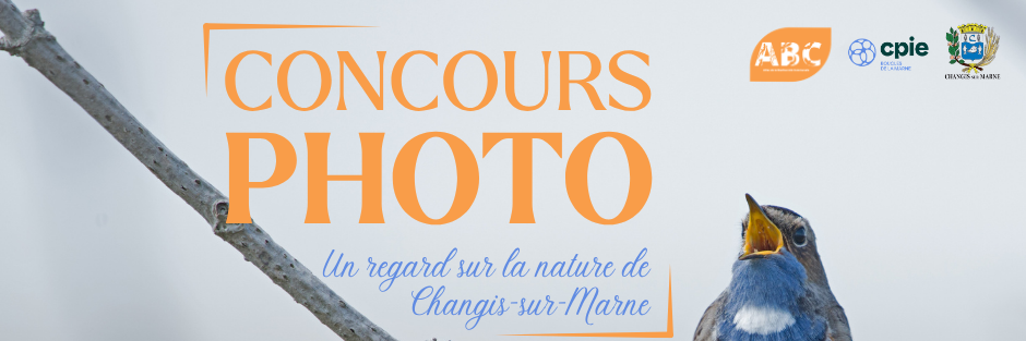 ABC Changis : Concours photo