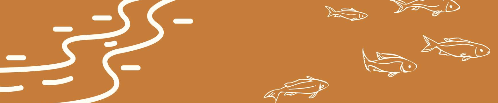 La lettre d&rsquo;info du site Natura 2000 de la vallée du Petit Morin est sortie !
