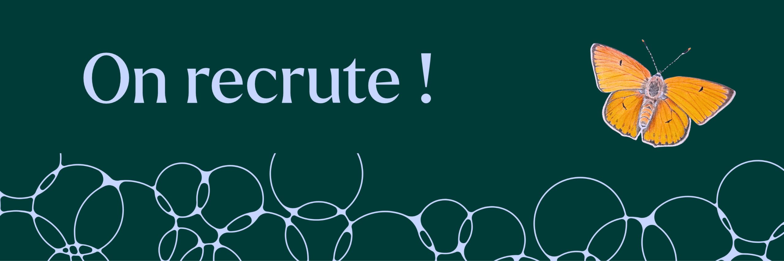 Le CPIE recrute !