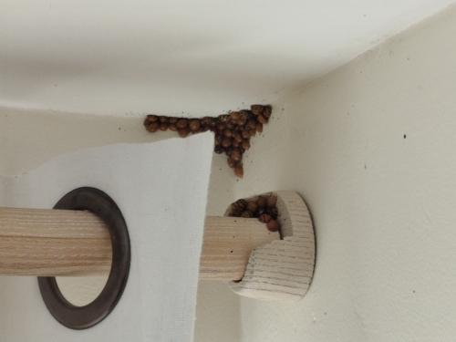 C'est l'heure du dodo 2