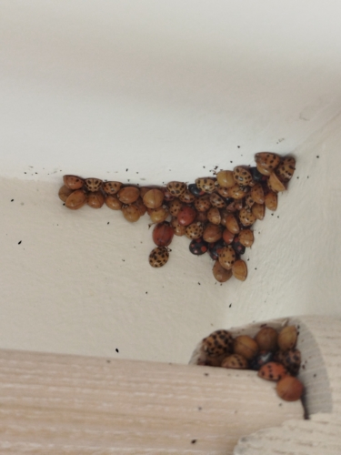 C'est l'heure du dodo