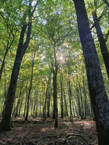 Point de chute solaire 2