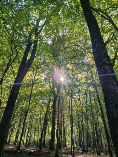Point de chute solaire